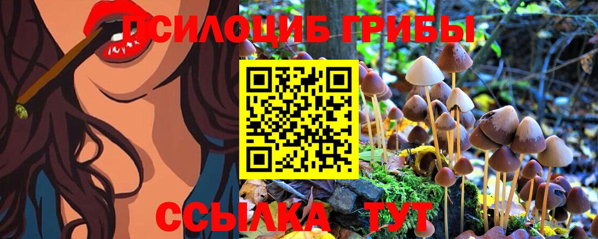 Кубинка  что такое наркотик  Вход с VPN  Псилоцибиновые грибы мухоморы 