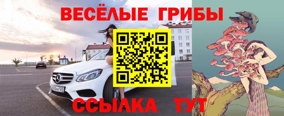 Псилоцибиновые грибы прущие грибы Кубинка
